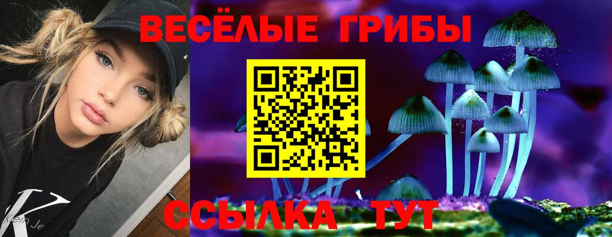 Вязники  Псилоцибиновые грибы мицелий  Вход с VPN 