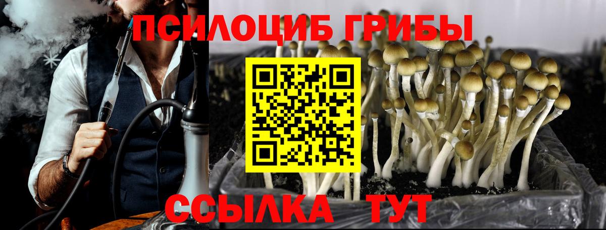 Галлюциногенные грибы MAGIC MUSHROOMS Вязники